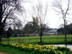 Botanical Gardens with Magdalen Tower